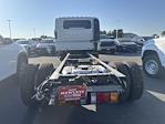 New 2025 Chevrolet LCF 5500XG Crew Cab Cab Chassis for sale #250340 - photo 2