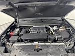 2024 Chevrolet Colorado Crew Cab 4WD Pickup for sale #251214C - photo 9