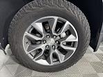 2019 Chevrolet Silverado 1500 Crew Cab RWD Pickup for sale #251734B - photo 13
