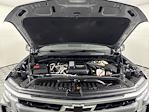 2024 Chevrolet Silverado 1500 Crew Cab RWD Pickup for sale #260400A - photo 4