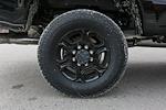 2024 Ford F-350 Regular Cab SRW 4x4, Plow Truck for sale #240855TZ - photo 13