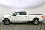 2021 Ford F-150 SuperCrew Cab 4x4 Pickup for sale #250803TA - photo 6
