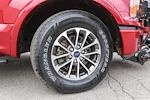 2019 Ford F-150 Super Cab 4WD Pickup for sale #P9747 - photo 14