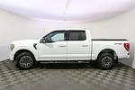 2023 Ford F-150 SuperCrew Cab 4WD Pickup for sale #P9800 - photo 6