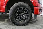 2024 Ford F-150 SuperCrew Cab 4WD Pickup for sale #X250341TB - photo 14