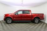 2017 Ford F-150 SuperCrew Cab 4WD Pickup for sale #X250765TA - photo 6
