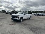2025 Chevrolet Silverado 1500 Double Cab 4x4 Pickup for sale #255368 - photo 3