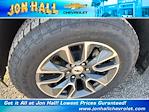 2025 Chevrolet Silverado 1500 Crew Cab 4x4 Pickup for sale #256340 - photo 15