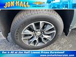 2025 Chevrolet Silverado 1500 Crew Cab 4x2 Pickup for sale #256543 - photo 21