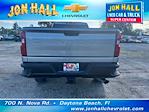 2025 Chevrolet Silverado 2500 Regular Cab 4x4 Pickup for sale #256816 - photo 9