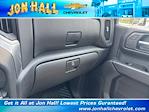 2025 Chevrolet Silverado 1500 Crew Cab 4x2 Pickup for sale #257032 - photo 29