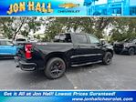 2025 Chevrolet Silverado 1500 Crew Cab 4x4 Pickup for sale #257035 - photo 13