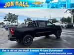 2025 Chevrolet Silverado 1500 Crew Cab 4x4 Pickup for sale #257353 - photo 13