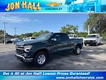 2025 Chevrolet Silverado 1500 Double Cab 4x2 Pickup for sale #257503 - photo 3