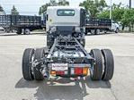 2025 Chevrolet LCF 5500XG Regular Cab 4x2, Cab Chassis for sale #53875 - photo 3