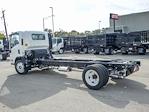 2025 Chevrolet LCF 5500XG Regular Cab 4x2, Cab Chassis for sale #54334 - photo 5