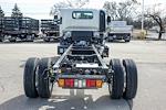 New 2025 Chevrolet LCF 5500XD Regular Cab 4x2 Cab Chassis for sale #54786 - photo 4