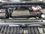 2025 Chevrolet Silverado 1500 Crew Cab 4x4 Pickup for sale #55025 - photo 22