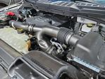 2021 Ford F-150 SuperCrew Cab 4WD Pickup for sale #4E50692A - photo 33