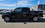 2013 Ford F-150 SuperCrew Cab 4WD Pickup for sale #4E50297A - photo 10