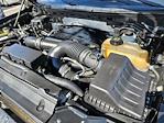 2013 Ford F-150 SuperCrew Cab 4WD Pickup for sale #4E50297A - photo 38