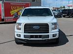 2017 Ford F-150 SuperCrew Cab 4WD Pickup for sale #4E50701B - photo 7