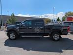 2020 Ford F-350 Crew Cab SRW 4WD Pickup for sale #4E60177A - photo 6