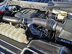 2021 Ford F-150 SuperCrew Cab 4WD Pickup for sale #4E60451A - photo 32