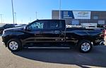 2024 Chevrolet Silverado 1500 Crew Cab 4WD Pickup for sale #4EP9045 - photo 6