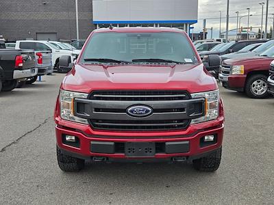 2019 Ford F-150 SuperCrew Cab 4WD Pickup for sale #4EP9098A - photo 2
