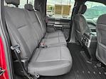 2019 Ford F-150 SuperCrew Cab 4WD Pickup for sale #4EP9098A - photo 26