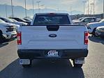 2019 Ford F-150 Regular Cab 4WD Pickup for sale #KKE63939T - photo 4