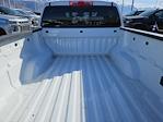 2023 Chevrolet Colorado Crew Cab 4WD Pickup for sale #P1213650W - photo 18
