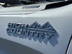 2025 Chevrolet Silverado 1500 Crew Cab 4WD Pickup for sale #252365A - photo 8