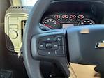2025 Chevrolet Silverado 1500 Regular Cab RWD Pickup for sale #253733A - photo 12