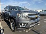 2019 Chevrolet Colorado Crew Cab RWD Pickup for sale #260274A - photo 2