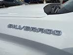2024 Chevrolet Silverado 1500 Crew Cab RWD Pickup for sale #271400 - photo 8