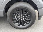 2025 Ford F-150 SuperCrew Cab 4x4 Pickup for sale #F5127 - photo 11