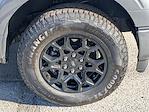 2025 Ford F-150 SuperCrew Cab 4x4 Pickup for sale #F5135 - photo 11