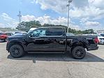 New 2025 Ford F-150 XLT SuperCrew Cab 4x4 Pickup for sale #F5137 - photo 7