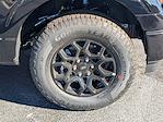 New 2025 Ford F-150 XLT SuperCrew Cab for sale #F5304 - photo 10