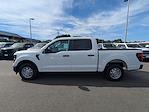 New 2025 Ford F-150 XL SuperCrew Cab Pickup for sale #F5310 - photo 7