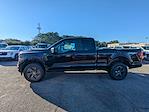 New 2025 Ford F-150 STX Super Cab 4x4 Pickup for sale #F5311 - photo 7