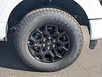 New 2025 Ford F-150 XLT SuperCrew Cab 4x4 Pickup for sale #F5315 - photo 11