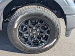 New 2025 Ford F-150 XLT SuperCrew Cab 4x4 Pickup for sale #F5323 - photo 11