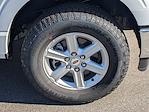 2025 Ford F-150 SuperCrew Cab 4x4 Pickup for sale #F5333 - photo 11