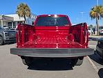 2025 Ford F-150 SuperCrew Cab 4x4 Pickup for sale #F5348 - photo 13