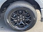 New 2026 Ford F-150 STX SuperCrew Cab for sale #F6002 - photo 12