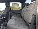 New 2026 Ford F-150 STX SuperCrew Cab for sale #F6003 - photo 14