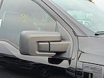 New 2026 Ford F-150 STX SuperCrew Cab for sale #F6005 - photo 12